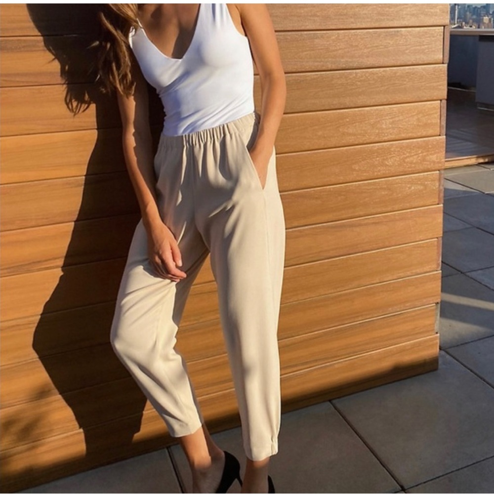 Aritzia babaton dexter pant -microchip color
